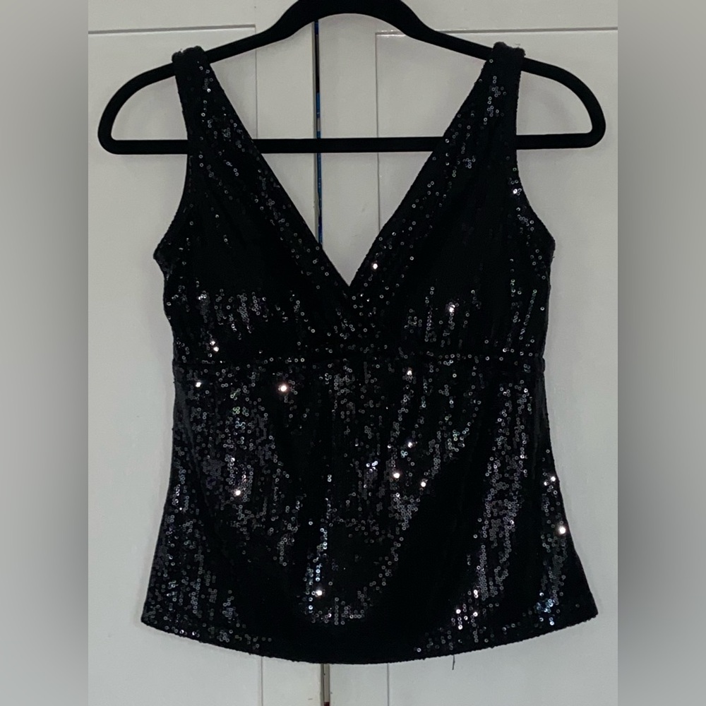 Papillon Blanc Sparkling Black V-Neck Blouse